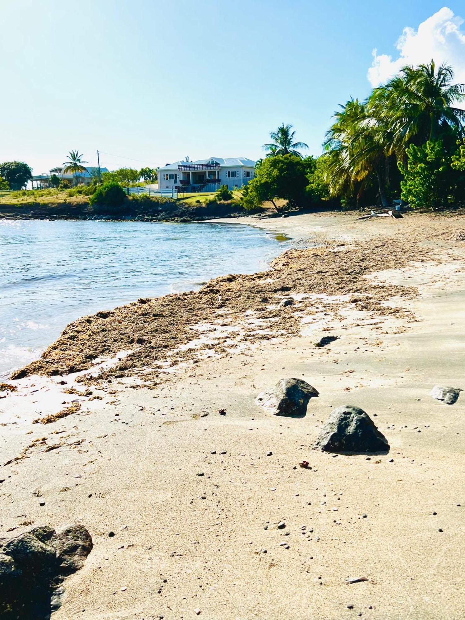 Sealavie Apartments - Grenada St. George's Bagian luar foto